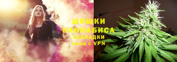 прущие грибы Белокуриха
