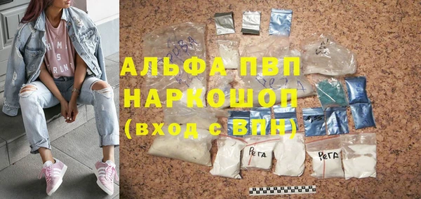 прущие грибы Белокуриха
