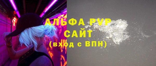 прущие грибы Белокуриха