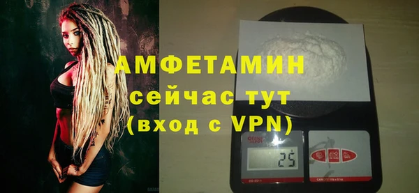 прущие грибы Белокуриха