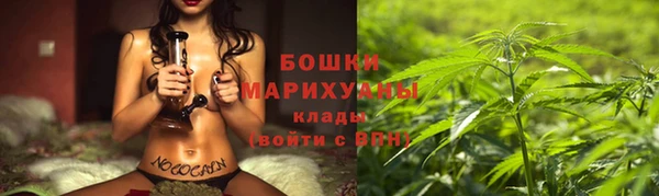прущие грибы Белокуриха