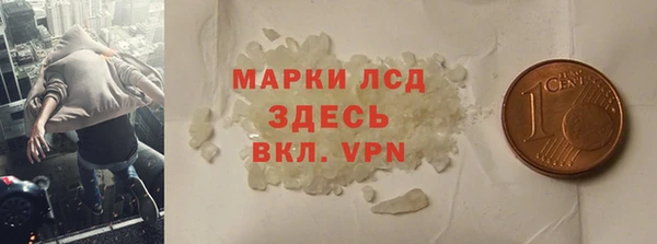 прущие грибы Белокуриха