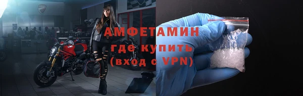 прущие грибы Белокуриха