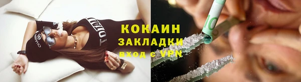 прущие грибы Белокуриха
