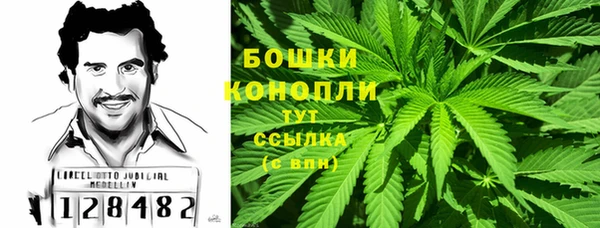 прущие грибы Белокуриха