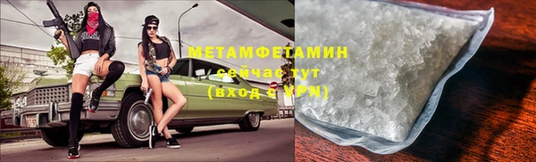 прущие грибы Белокуриха