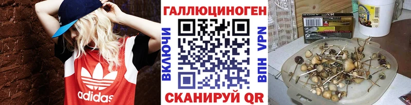 наркошоп  Севск  Псилоцибиновые грибы мицелий 